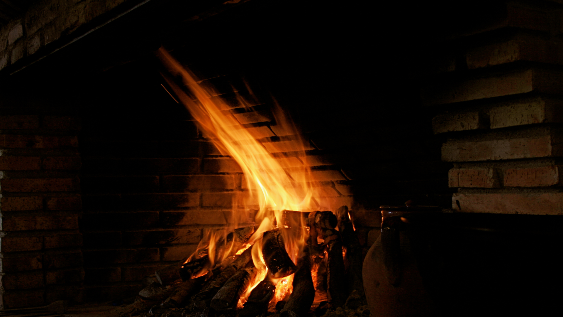 Fireplace with burning logs and flames, showcasing proper usage for maintaining a healthy chimney and fireplace.