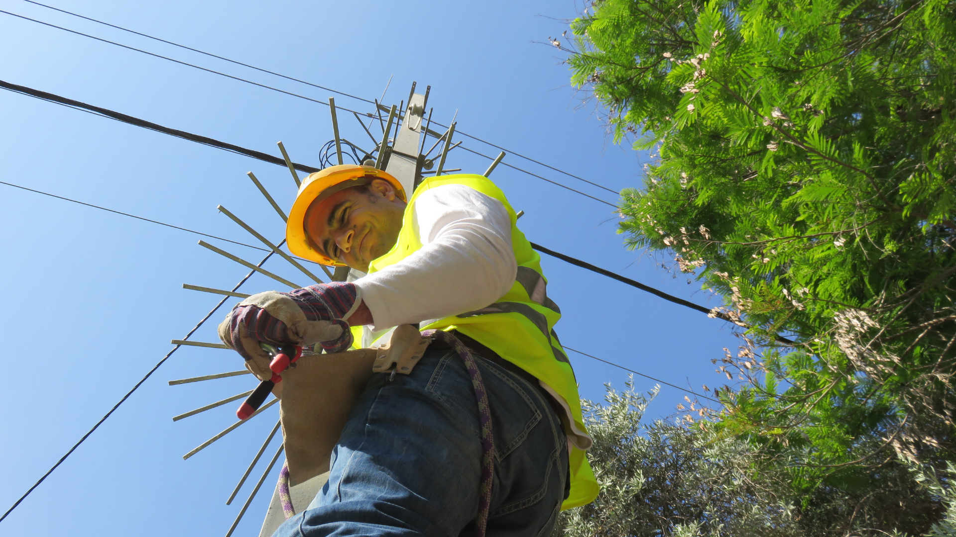 Worker in safety gear performing maintenance on a utility pole, surrounded by greenery and blue sky, highlighting expertise in structural integrity and safety in foundation repair contexts.
