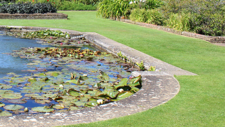 water feature pond companies minneapolis